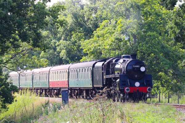 bluebell railway